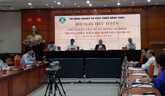 Covid-19 không ngăn nông nghiệp phát triển